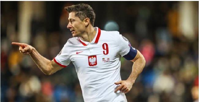 91视频观看