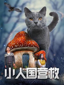 国产高清a