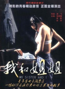 4080 笔记本